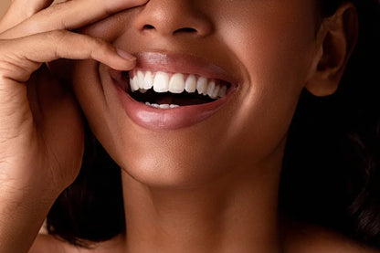 360° Replacement Bristle Head – Kids & Adult Sizes